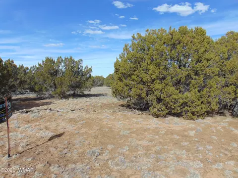 49 County Rd, Vernon, AZ 85940
