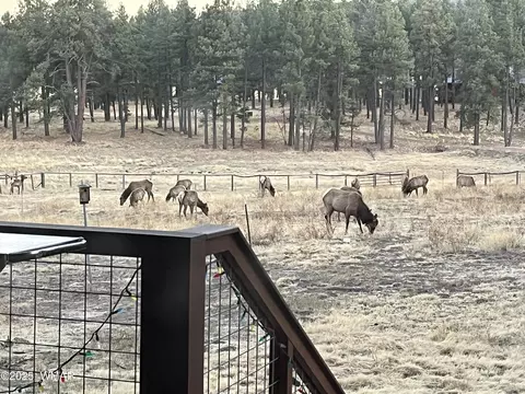 2 N2261, Alpine, AZ 85920 photo 33