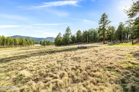 2 N2261, Alpine, AZ 85920 photo 9