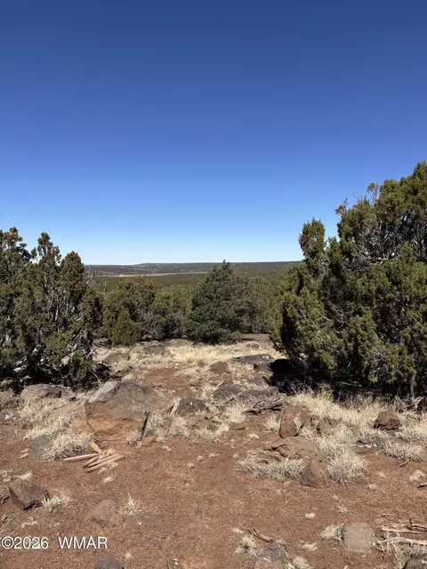 19 County Road 8230, Concho, AZ 85924