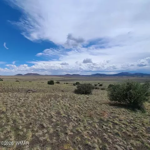 3 County Road N3365, Vernon, AZ 85940