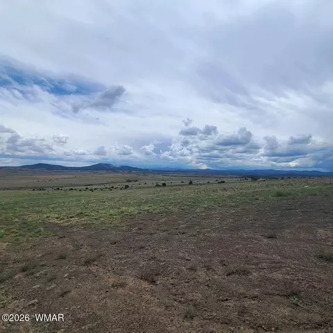 3 County Road N3365, Vernon, AZ 85940