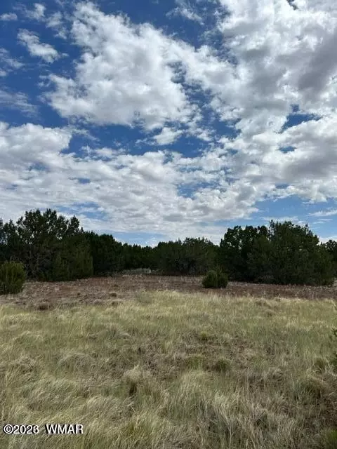 tbd Cr N3109 N3102, Vernon, AZ 85940