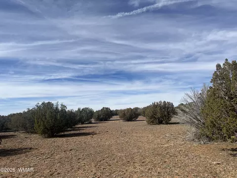 8526 Lake Ridge Rd, Show Low, AZ 85901