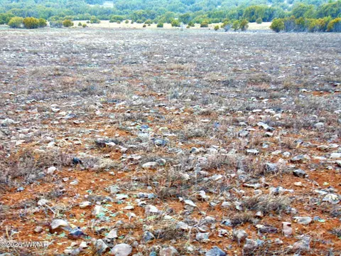196 County Road 8206, Concho, AZ 85924