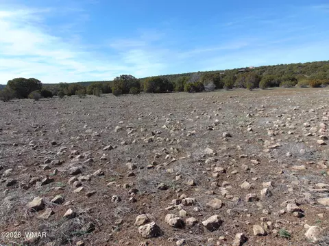 15 Mills, Concho, AZ 85924 photo 29