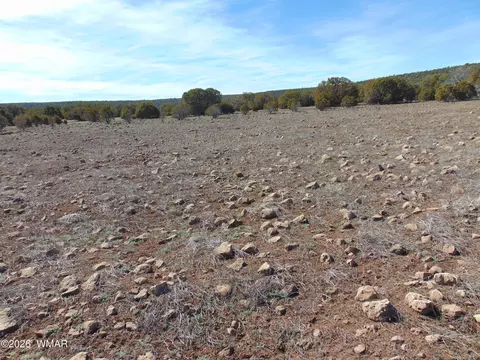 15 Mills, Concho, AZ 85924 photo 28