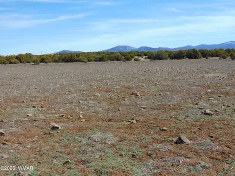 15 Mills, Concho, AZ 85924 photo 32