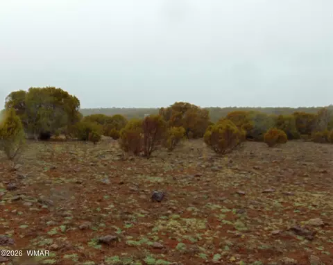 15 Mills, Concho, AZ 85924 photo 4