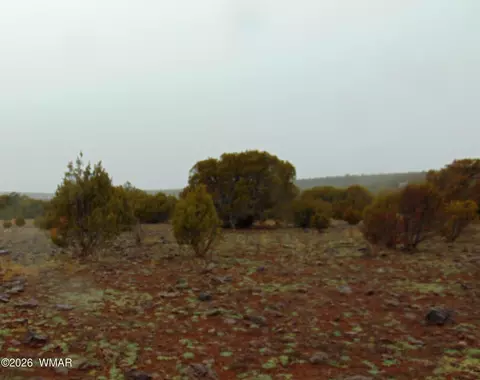 15 Mills, Concho, AZ 85924 photo 5