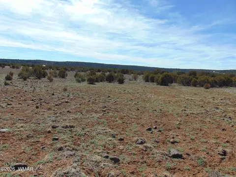 15 Mills, Concho, AZ 85924 photo 36