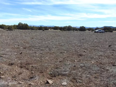 15 Mills, Concho, AZ 85924 photo 25