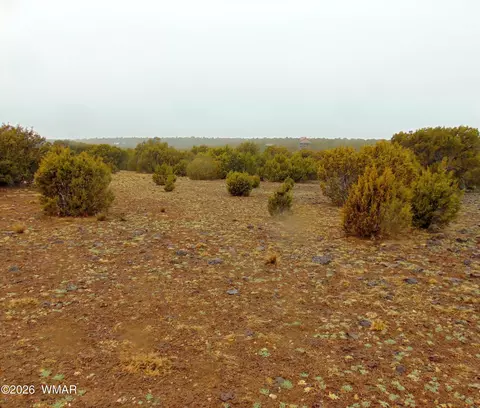 15 Mills, Concho, AZ 85924 photo 11