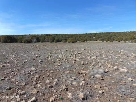 15 Mills, Concho, AZ 85924 photo 30