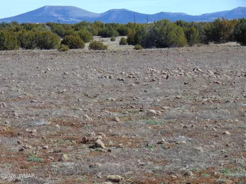 15 Mills, Concho, AZ 85924 photo 33