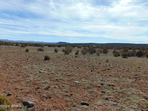 15 Mills, Concho, AZ 85924 photo 35