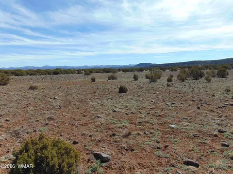 15 Mills, Concho, AZ 85924 photo 34