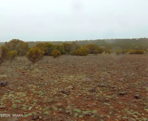 15 Mills, Concho, AZ 85924 photo 3