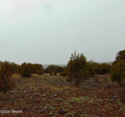 15 Mills, Concho, AZ 85924 photo 6