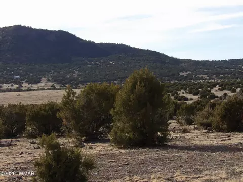 lot14 D N3411, Vernon, AZ 85940