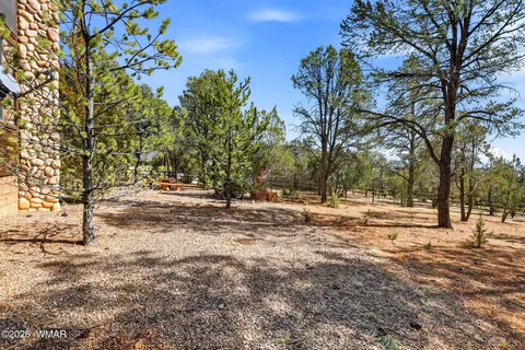 Exterior - 2337 Puma Cir, Overgaard, AZ 85933 photo 9 of 11