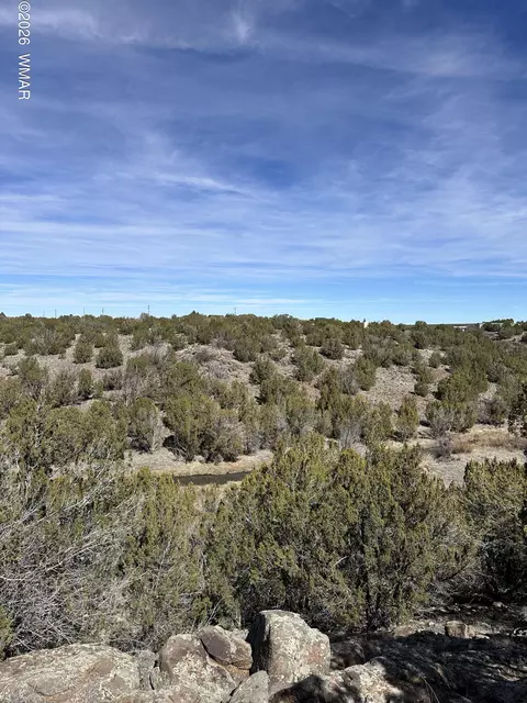 1780 Shad Pl, Show Low, AZ 85901