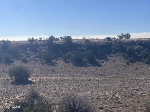 1515 Pumpkin Patch, Heber, AZ 85928 photo 3