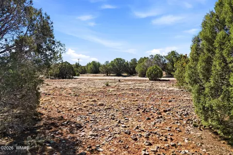 8396 Bear Meadow Dr, Show Low, AZ 85901