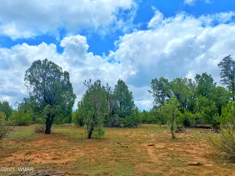 tbd Bear Hts, Heber, AZ 85928