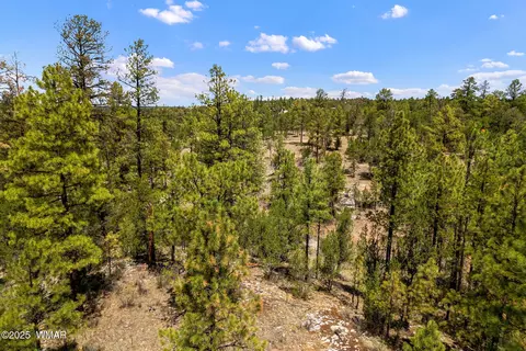 2975 Canary Ln, Heber, AZ 85928