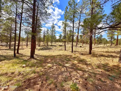 Par 007h Chevelon Rd, Heber, AZ 85928