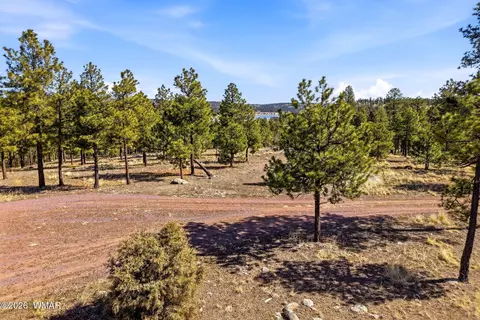 tbd N2147, Alpine, AZ 85920 photo 16