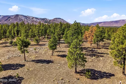 tbd N2147, Alpine, AZ 85920 photo 15