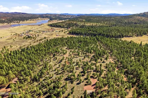 tbd N2147, Alpine, AZ 85920 photo 4