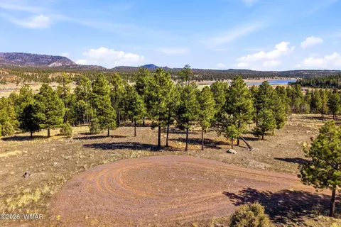tbd N2147, Alpine, AZ 85920 photo 14
