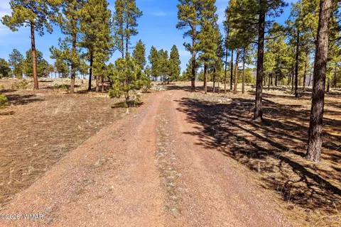tbd N2147, Alpine, AZ 85920 photo 19