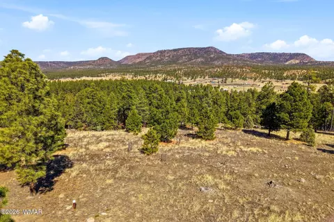 tbd N2147, Alpine, AZ 85920 photo 13