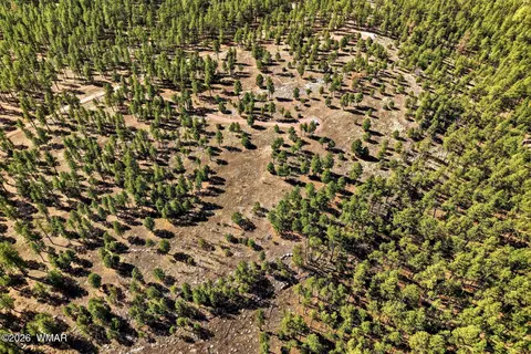 tbd N2147, Alpine, AZ 85920 photo 8