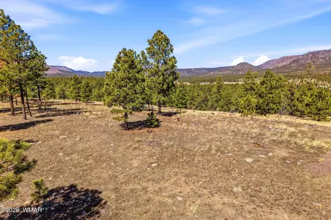 tbd N2147, Alpine, AZ 85920 photo 17