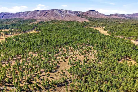 tbd N2147, Alpine, AZ 85920 photo 7