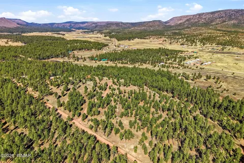 tbd N2147, Alpine, AZ 85920 photo 2
