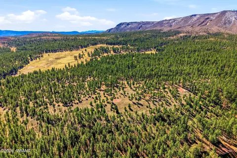 tbd N2147, Alpine, AZ 85920 photo 6