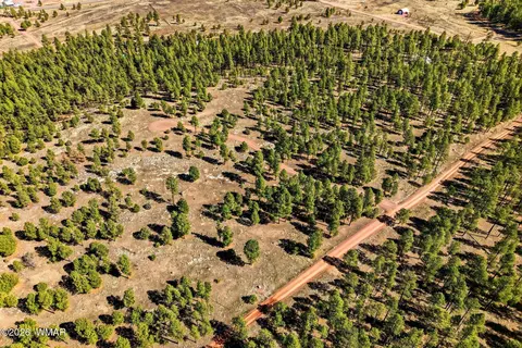 tbd N2147, Alpine, AZ 85920 photo 10