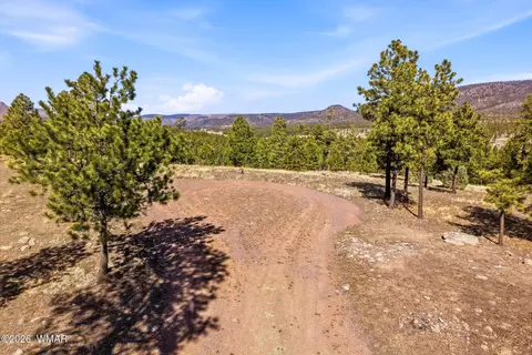 tbd N2147, Alpine, AZ 85920 photo 20