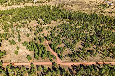 tbd N2147, Alpine, AZ 85920 photo 11