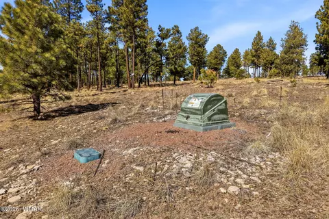 tbd N2147, Alpine, AZ 85920 photo 21