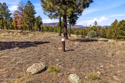 tbd N2147, Alpine, AZ 85920 photo 18
