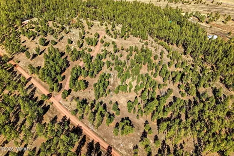 tbd N2147, Alpine, AZ 85920 photo 12