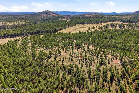 tbd N2147, Alpine, AZ 85920 photo 5