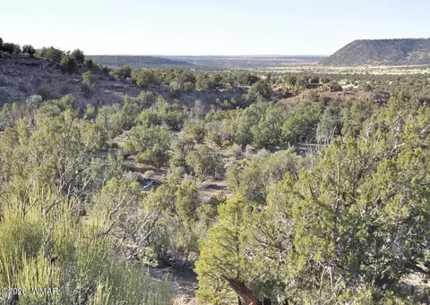 3687 Damron Valley Rd, Snowflake, AZ 85937